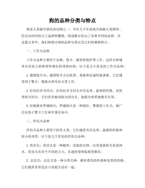 狗的品种分类与特点