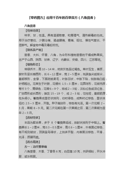 『草药图方』应用千百年的百草良方（八角茴香）