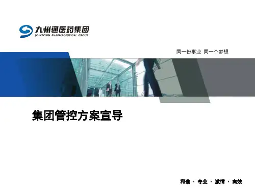 集团管控方案宣导(定稿)