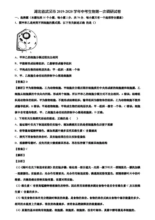 湖北省武汉市2019-2020学年中考生物第一次调研试卷含解析