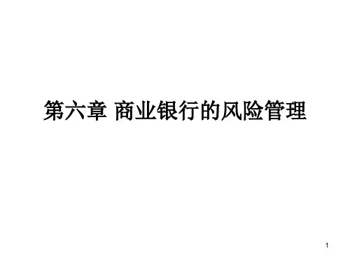 商业银行的风险管理课件(PPT66页)