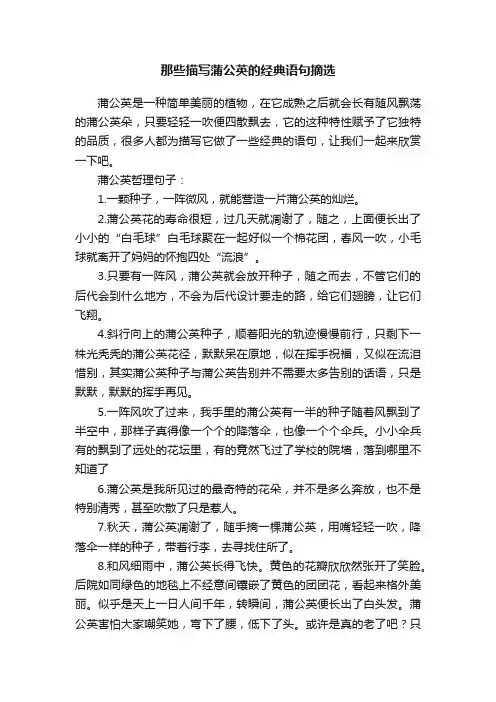 那些描写蒲公英的经典语句摘选