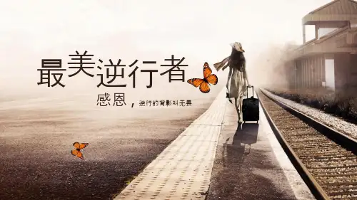 最美逆行者PPT优秀课件