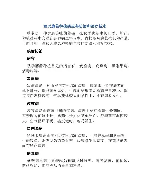 秋天蘑菇种植病虫害防治和治疗技术