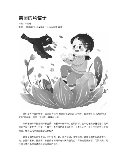 美丽的风信子