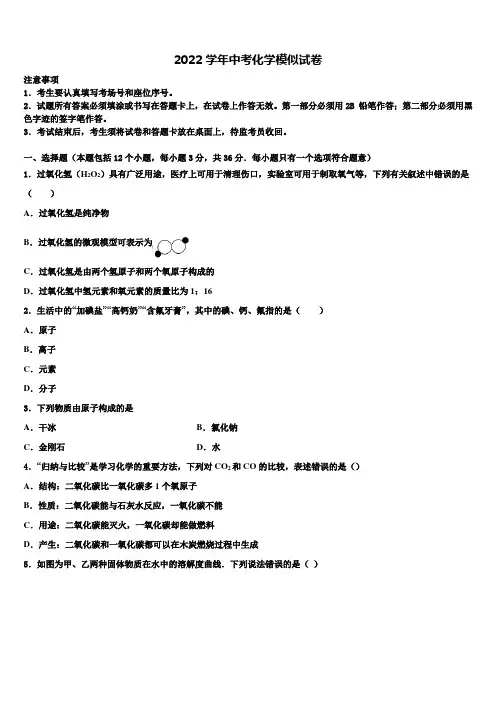 2022届新疆乌鲁木齐市第九十八中学中考一模化学试题(含解析)