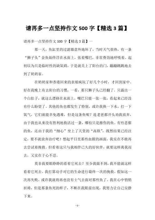请再多一点坚持作文500字【3篇】