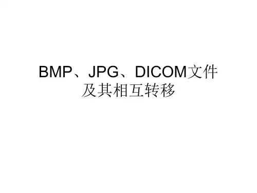 13 BMP、JPG、DICOM文件