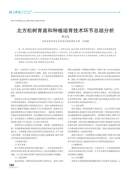 北方松树育苗和种植培育技术环节总结分析