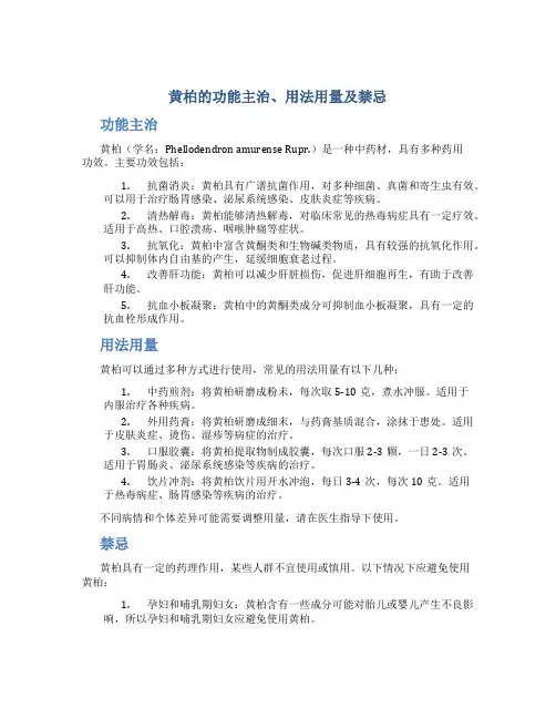 黄柏的功能主治用法用量及禁忌
