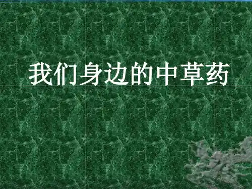 我们身边的中草药ppt课件