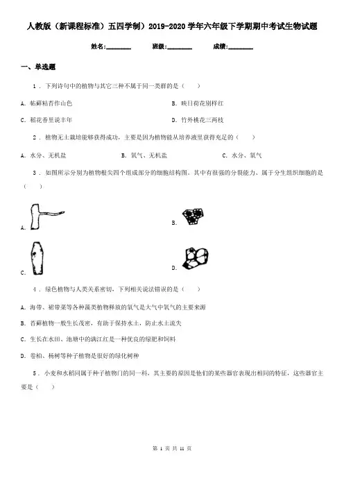人教版(新课程标准)五四学制)2019-2020学年六年级下学期期中考试生物试题