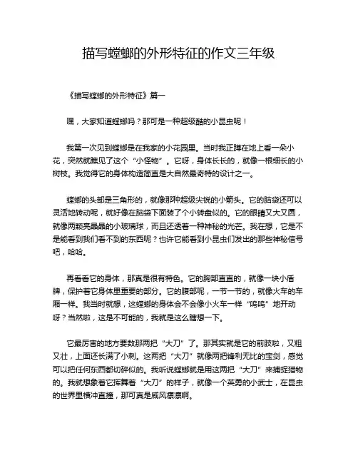 描写螳螂的外形特征的作文三年级