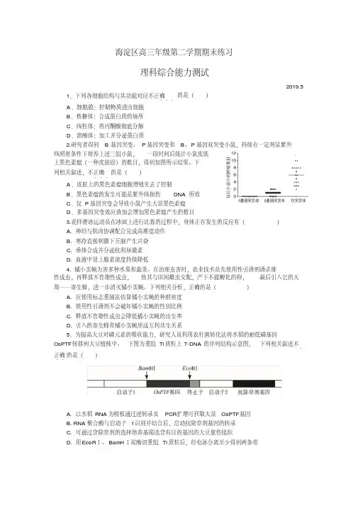 2019年北京市海淀区高三生物二模试题及答案