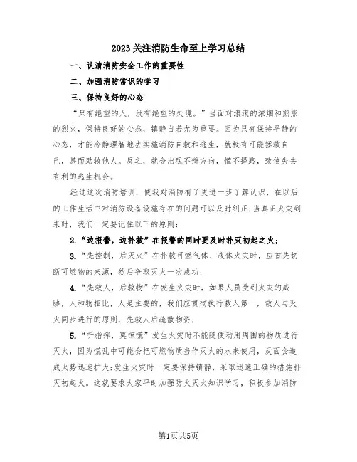 2023关注消防生命至上学习总结(4篇)
