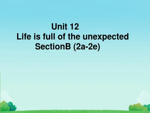 Unit12SectionB(2a-2e)课件+2023-2024学年人教版九年级英语全册