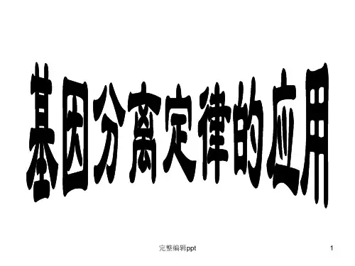 分离定律的应用PPT课件