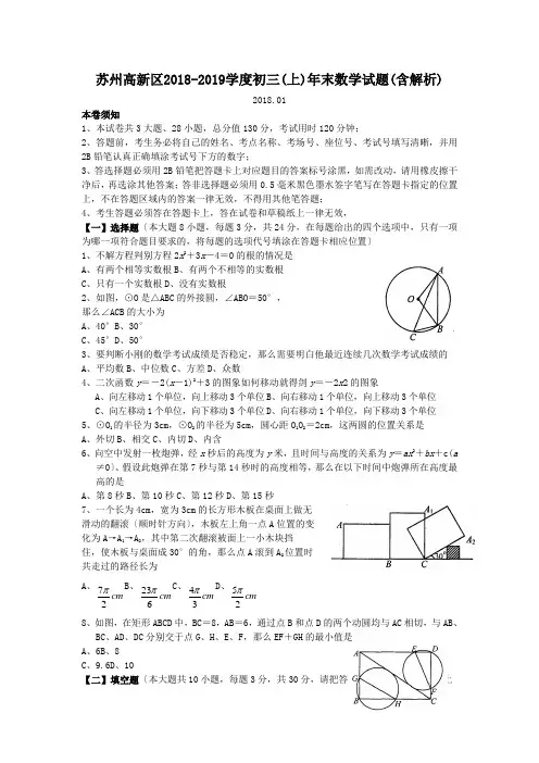 苏州高新区2018-2019学度初三(上)年末数学试题(含解析)