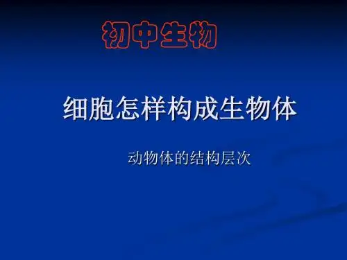九年级生物动物体的结构层次PPT课件
