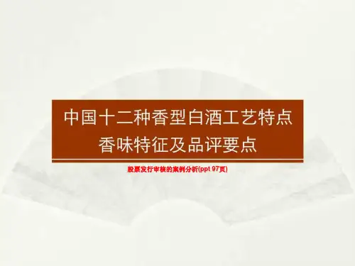 股票发行审核的案例分析(ppt 97页)