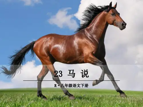 2020年中考一轮复习八下23课《马说》