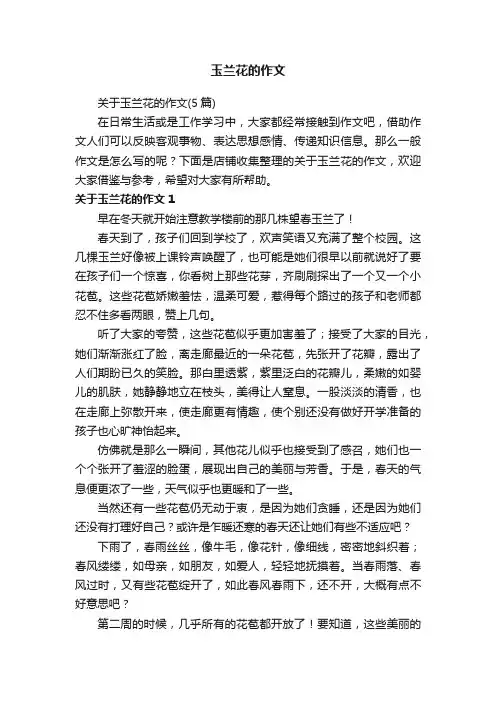 玉兰花的作文