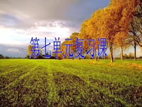 第七单元复习课