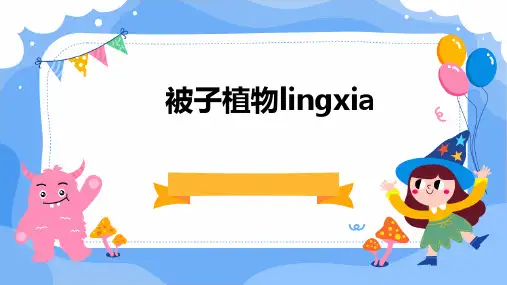 被子植物LINGXIA