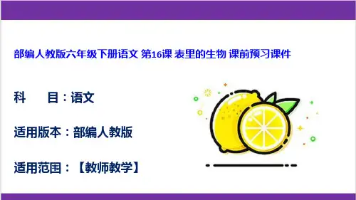 部编人教版六年级下册语文 第16课 表里的生物 课前预习课件