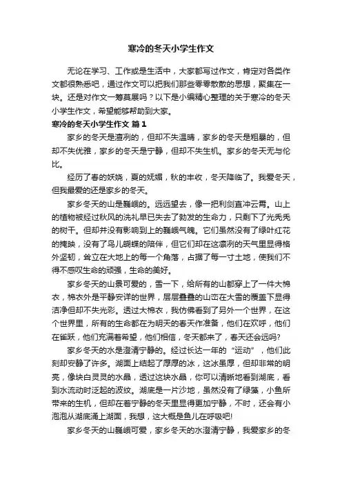 关于寒冷的冬天小学生作文（精选28篇）