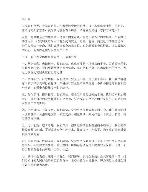 供电企业安全誓言演讲稿(3篇)