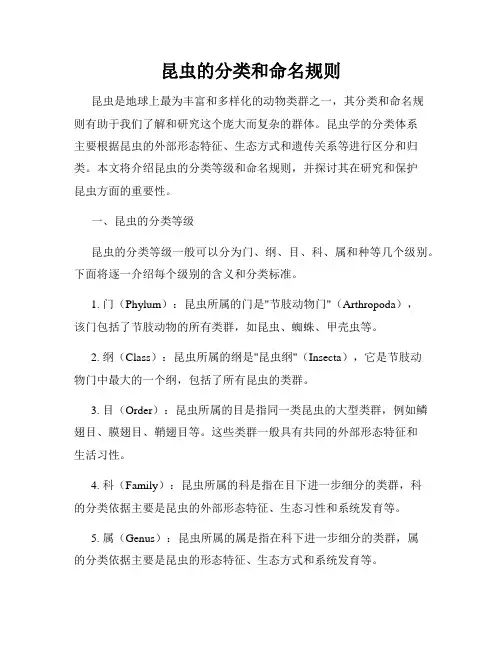 昆虫的分类和命名规则