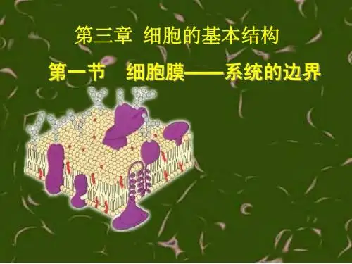 人教版教学课件新人教版必修1第三张第一节细胞膜