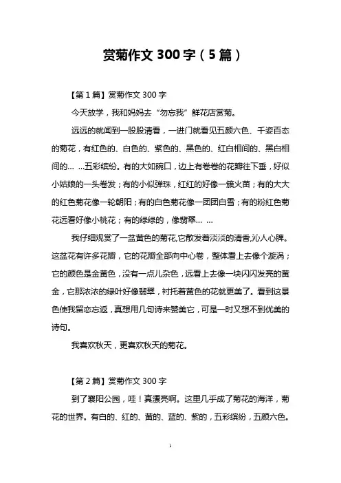 赏菊作文300字(5篇)