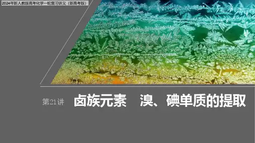 2024年新人教版高考化学一轮复习讲义(新高考版)  第5章 第21讲 卤族元素 溴、碘单质的提取
