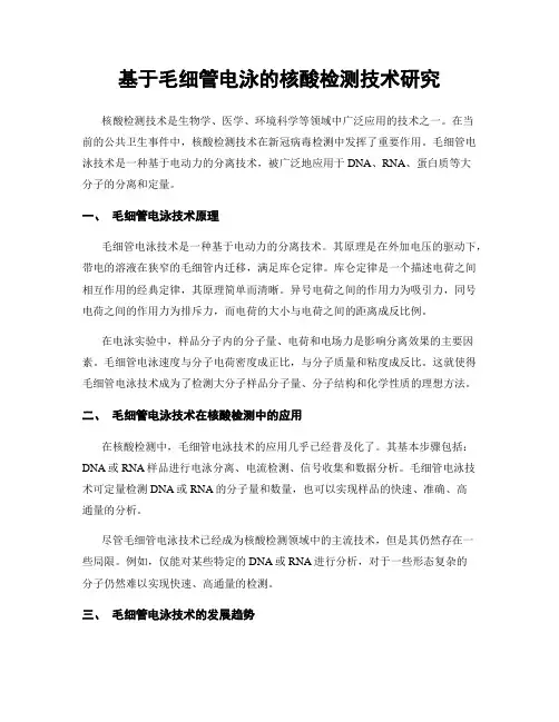 基于毛细管电泳的核酸检测技术研究