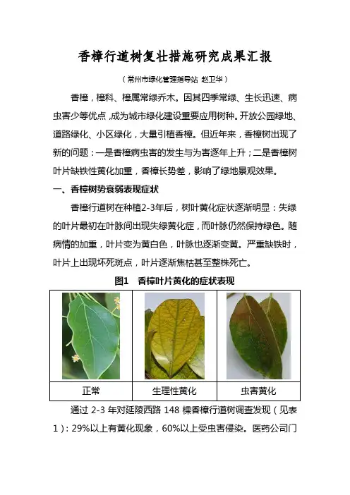 香樟行道树复壮措施研究成果汇报