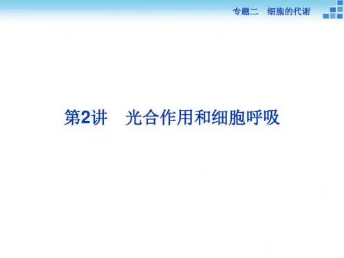 高考总复习(第二轮)·生物(渝闽专用)课件：专题二 细胞的代谢 第2讲