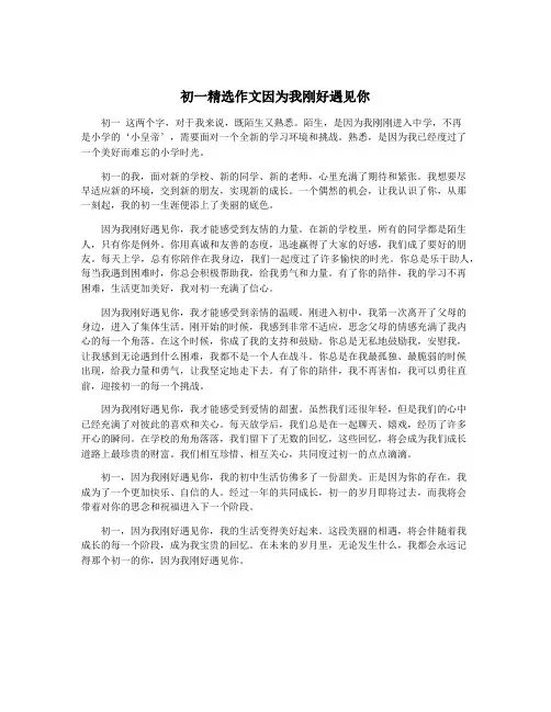 初一精选作文因为我刚好遇见你