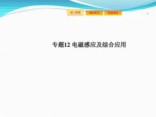 2018高考物理二轮复习课件：专题12 电磁感应及综合运用