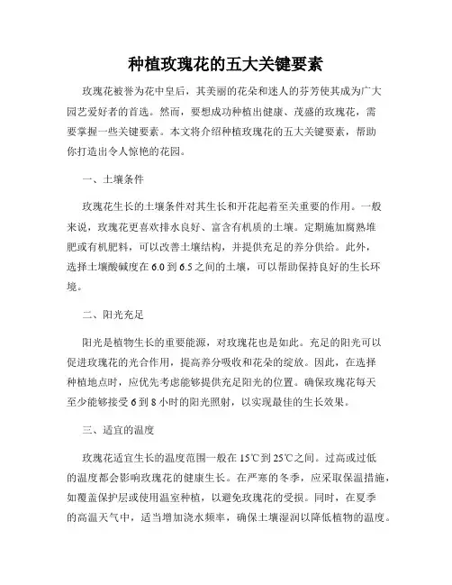 种植玫瑰花的五大关键要素