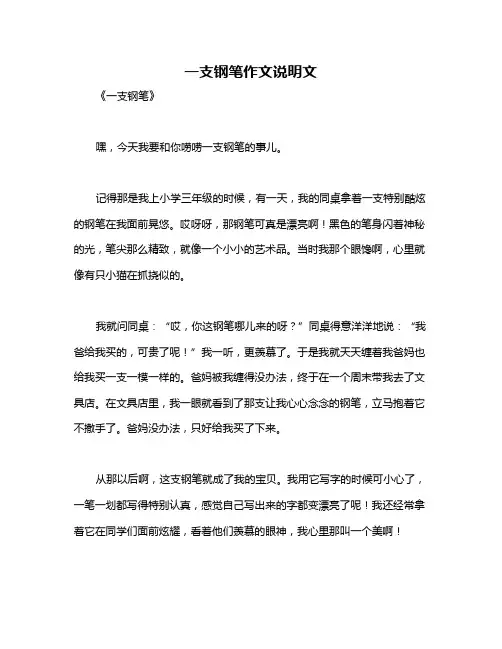 一支钢笔作文说明文