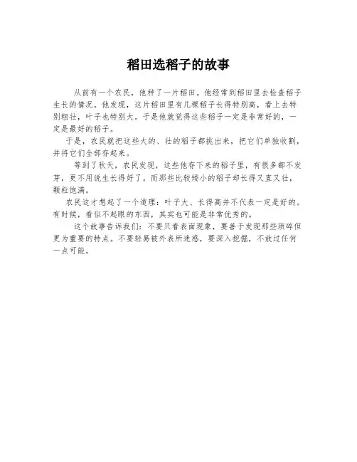 稻田选稻子的故事