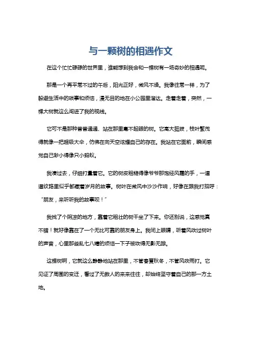 与一颗树的相遇作文