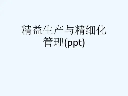 精益生产与精细化管理(ppt)
