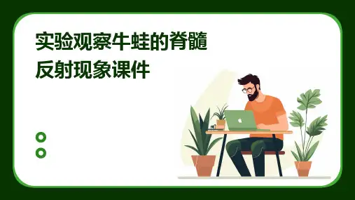 实验观察牛蛙的脊髓反射现象课件