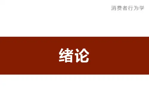 消费者行为学第4版PPT绪论[17页]