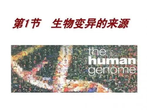 生物变异的来源