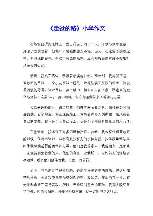 《走过的路》小学作文