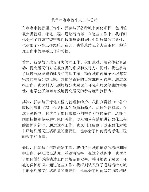 负责市容市貌个人工作总结
